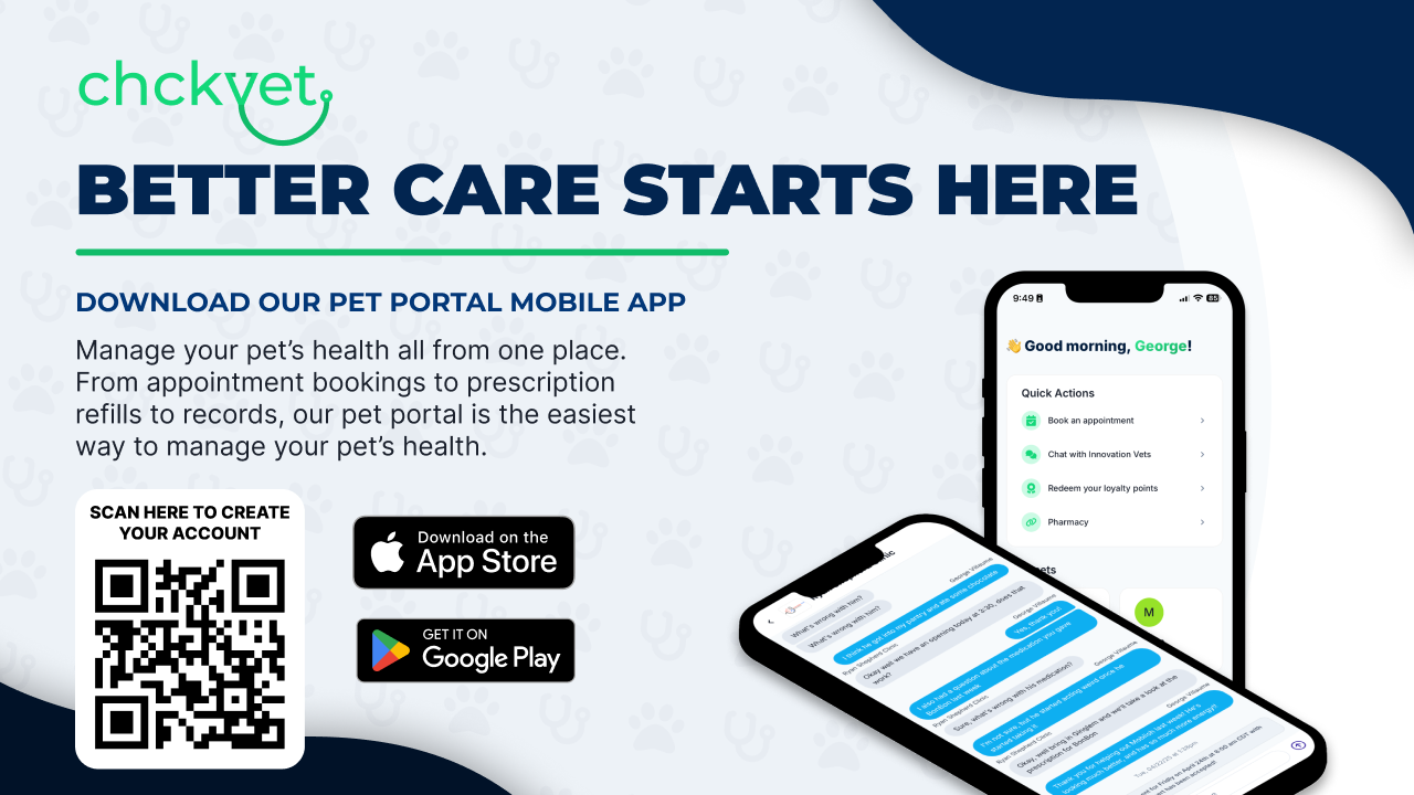 check_vet_portal